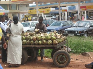 Green Coconuts